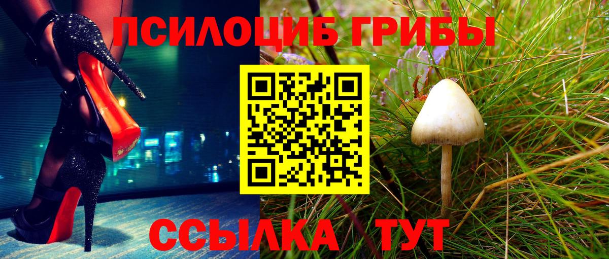 Галлюциногенные грибы GOLDEN TEACHER Кузнецк